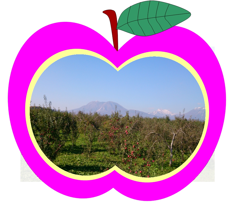 りんご栽培土壌